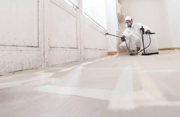 24/7 Emergency Mold Cleanup experts in Seaford, VA